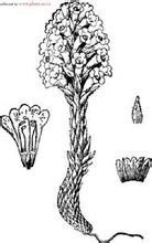 肃北蒙古族自治县 肃北蒙古族自治县