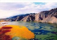 肃北蒙古族自治县 肃北蒙古族自治县