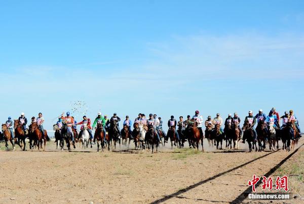 甘肃肃北赛马赛驼 别样的速度与激情