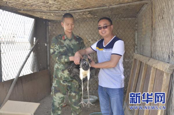 酒泉边防音凹峡边防派出所救助一只国家保护动物
