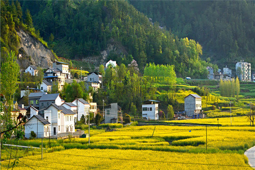农村宅基地可以写2个人名字吗