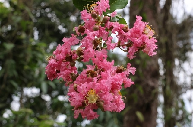新居入伙祝福语