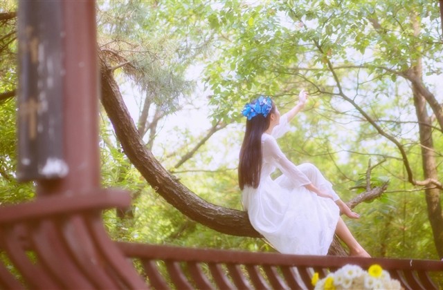 部队励志口号简短精炼大全(精选70句) 部队励志口号简短精炼大全(精选70句)