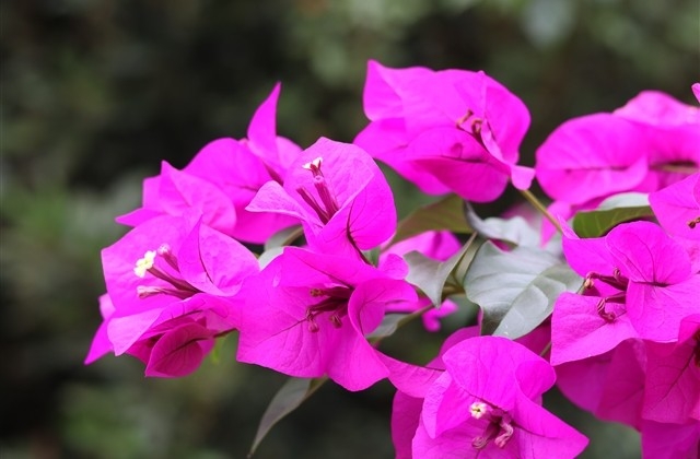 给老公拜年的句子