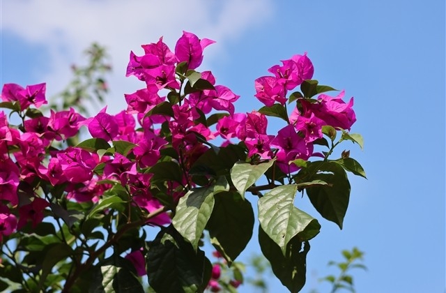 除夕夜祝福语大全简短 除夕夜祝福语大全简短