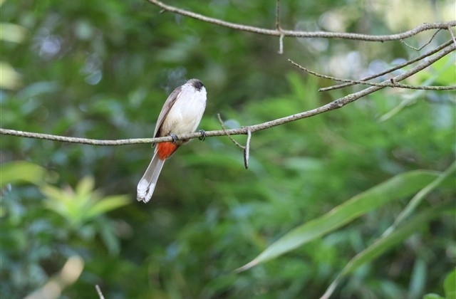 除夕夜祝福语大全简短 除夕夜祝福语大全简短