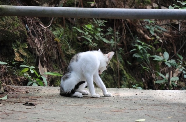 平安夜经典祝福语短句
