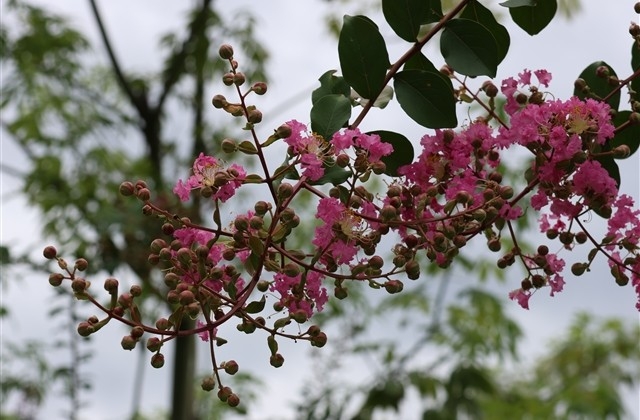 给老公拜年的句子