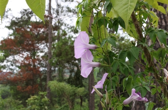 2023年除夕祝福语大全