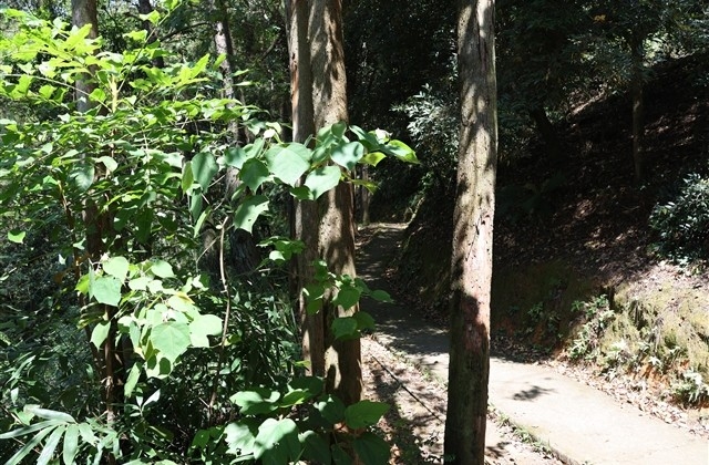 2023年除夕祝福语