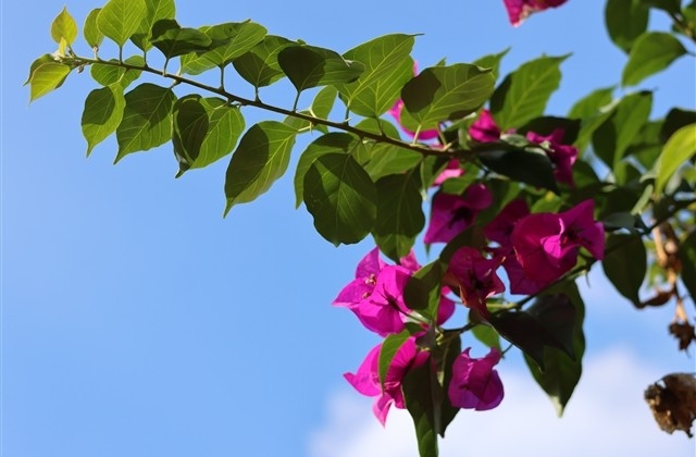 小寒的美好祝福语