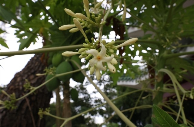 除夕祝福语大全 除夕祝福语大全