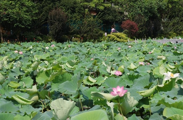 2023开工第一天祝福语