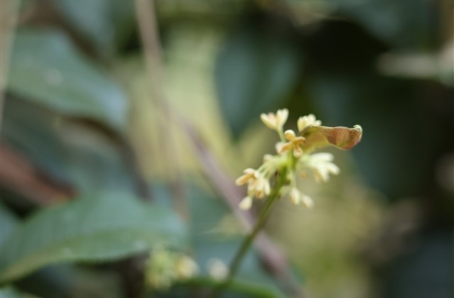 2023开工第一天祝福语