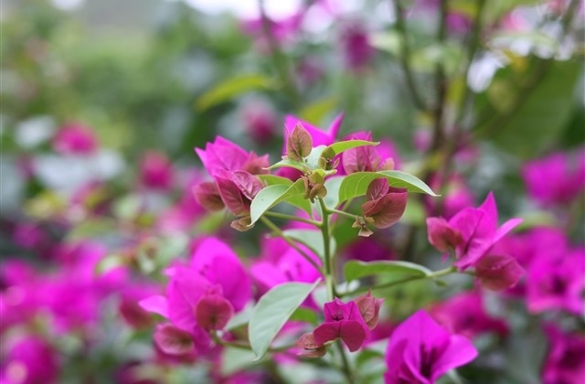 五一祝福语朋友圈