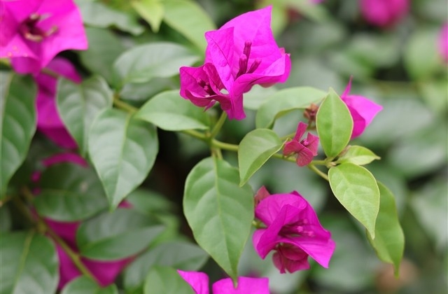 中秋节寄语祝福语给女朋友 中秋节寄语祝福语给女朋友