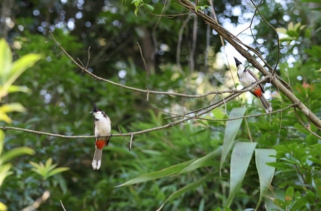 五一祝福语朋友圈