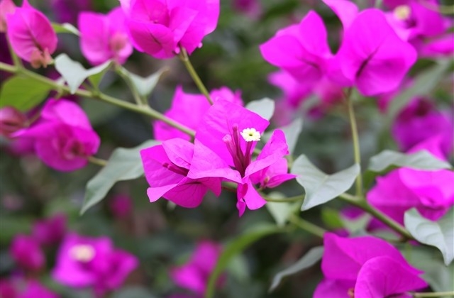 寿诞祝福语简短独特 寿诞祝福语简短独特