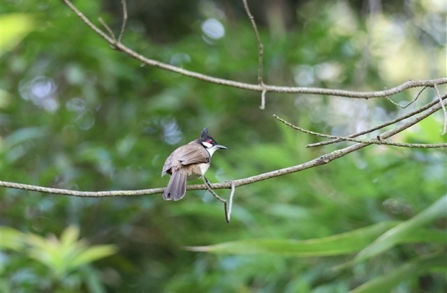 劳动节文案句子 劳动节文案句子