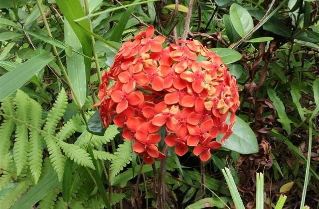 欢度元宵佳节祝福语 欢度元宵佳节祝福语