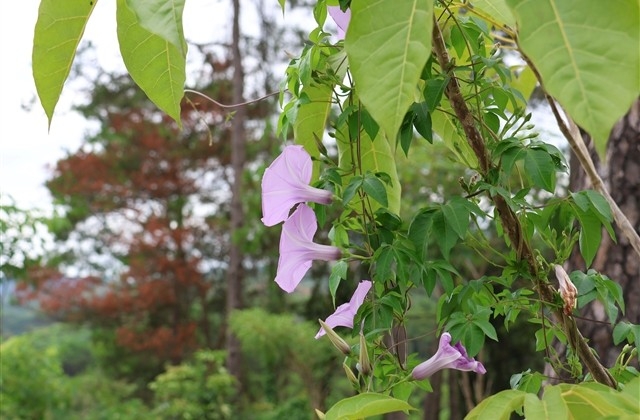 情人节情话最暖心短句送男友 情人节情话最暖心短句送男友