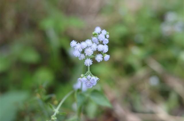 小雪节气发圈说说