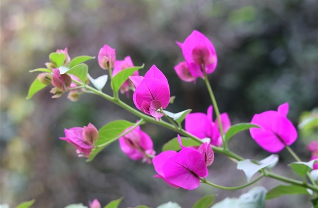 不油腻的英文网名(优选150个)