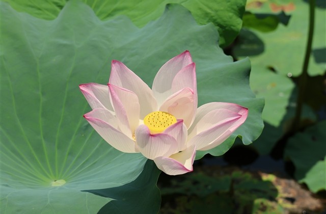 立冬简短祝福精彩文案短句(精选45条)