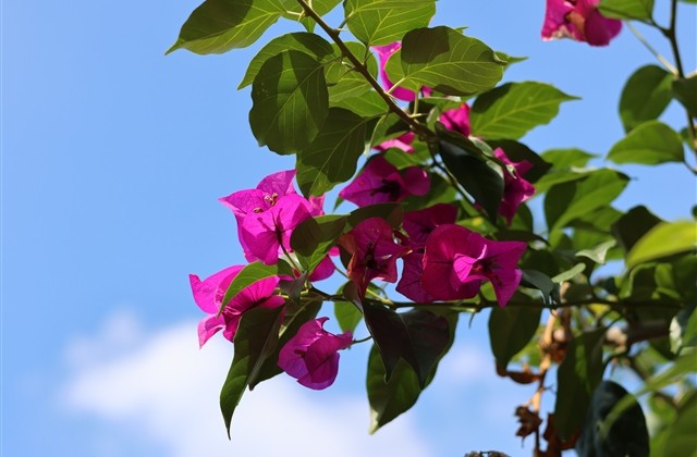 超级好听的签名温柔又高雅 有趣都藏在无聊的日子里