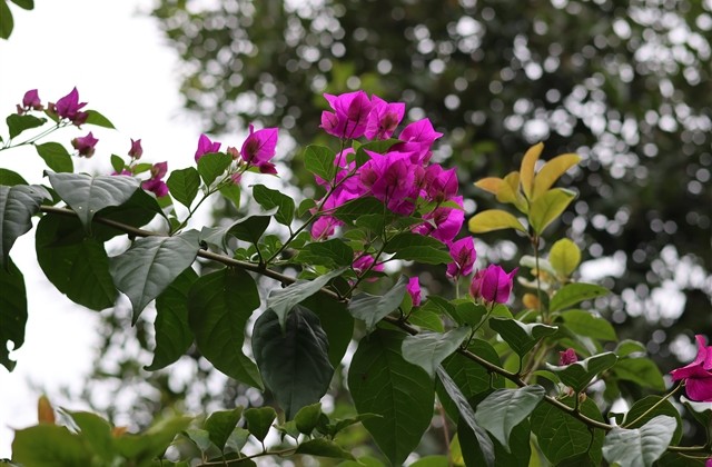 描述傍晚太阳的唯美短句