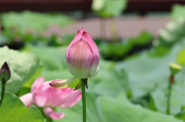 最温暖的昵称 温暖的微信昵称