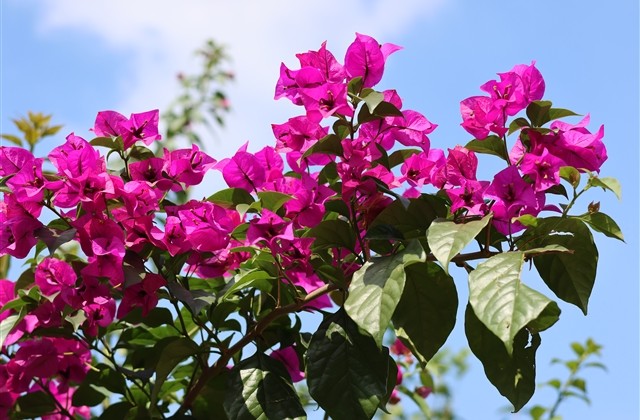 为自己加油打气的励志网名(精选55个) 为自己加油打气的励志网名(精选55个)