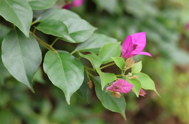 最时尚的网名昵称 最时尚的网名昵称