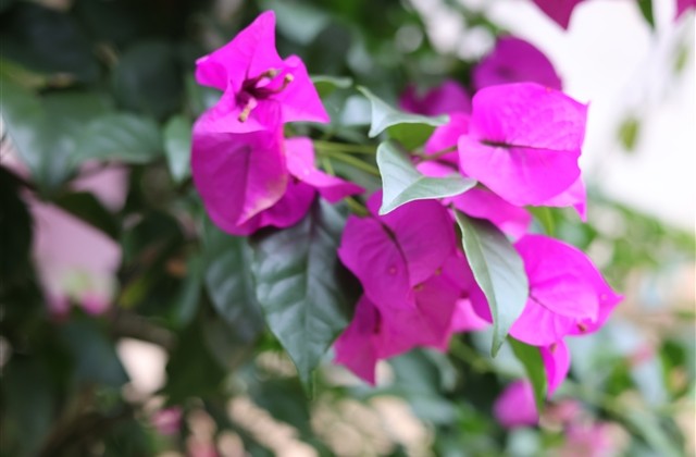 无法诉说的委屈的句子