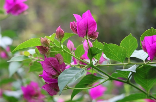 公司乔迁贺词祝福语